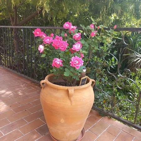 Lumineuse Jardin Arbore Guest house