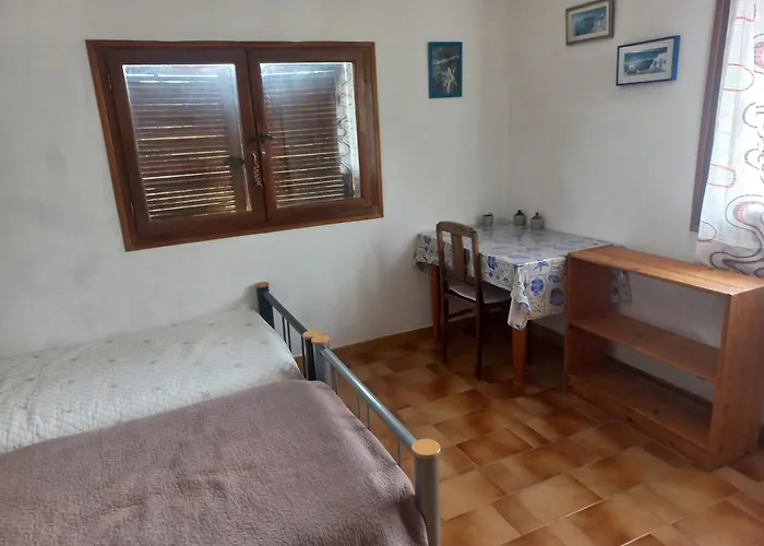 Lumineuse Jardin Arbore * Montpellier