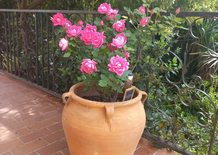 Lumineuse Jardin Arbore Guest house